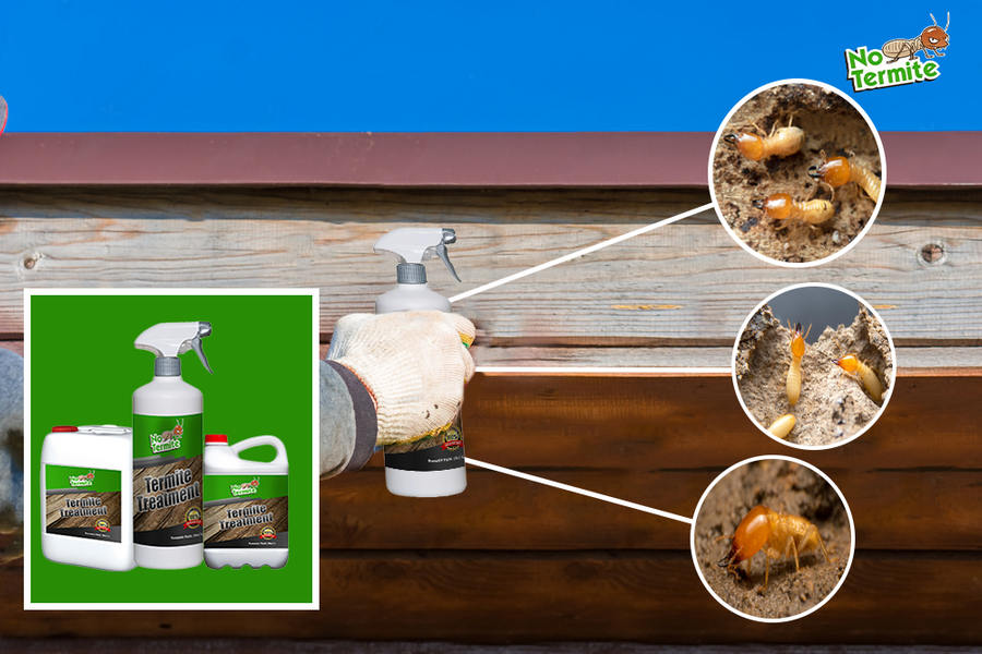Explore the world of anti-termite innovations
