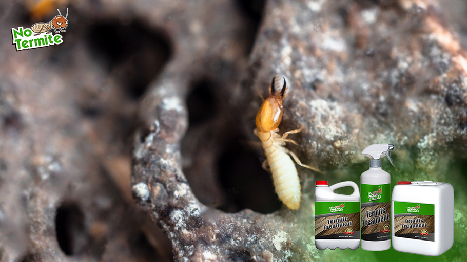 Effective Strategies to Prevent Termites: Essential Tips for Homeowners