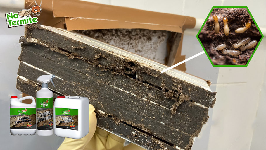 Are your investments safe from termites?
