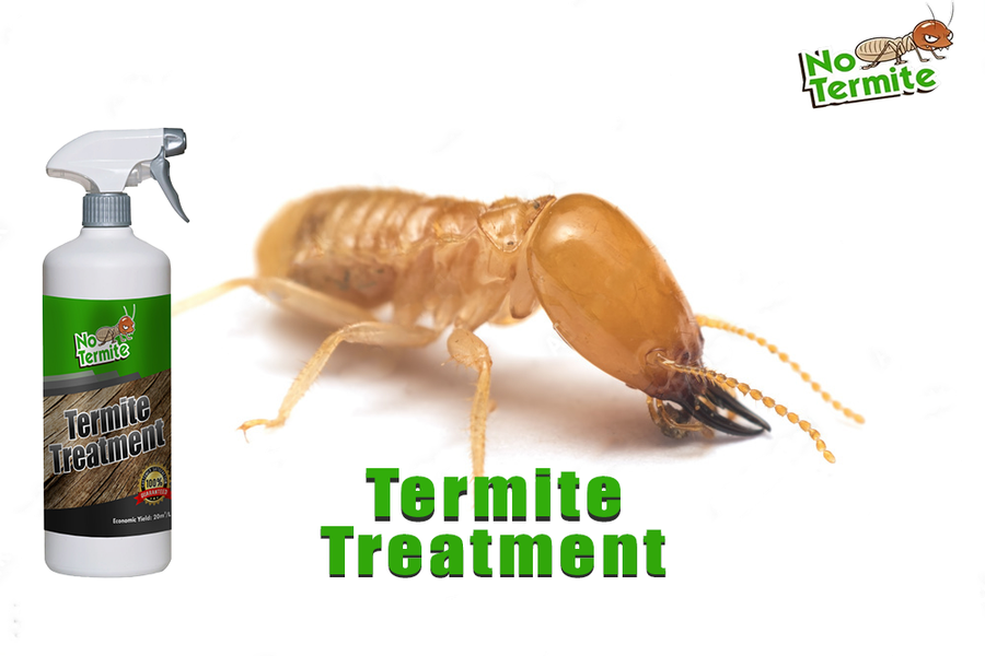 The importance of anti-termite strategies