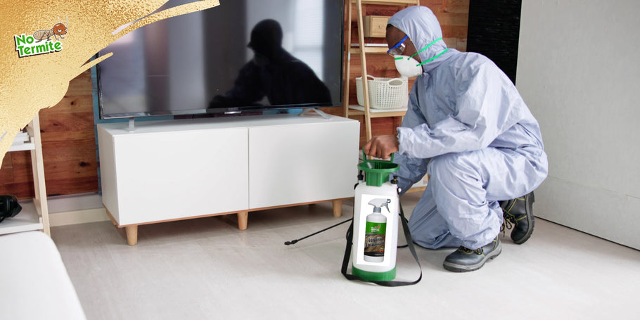 Why use professional anti-termite treatment?