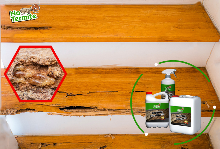 Are your homes termite resistant?