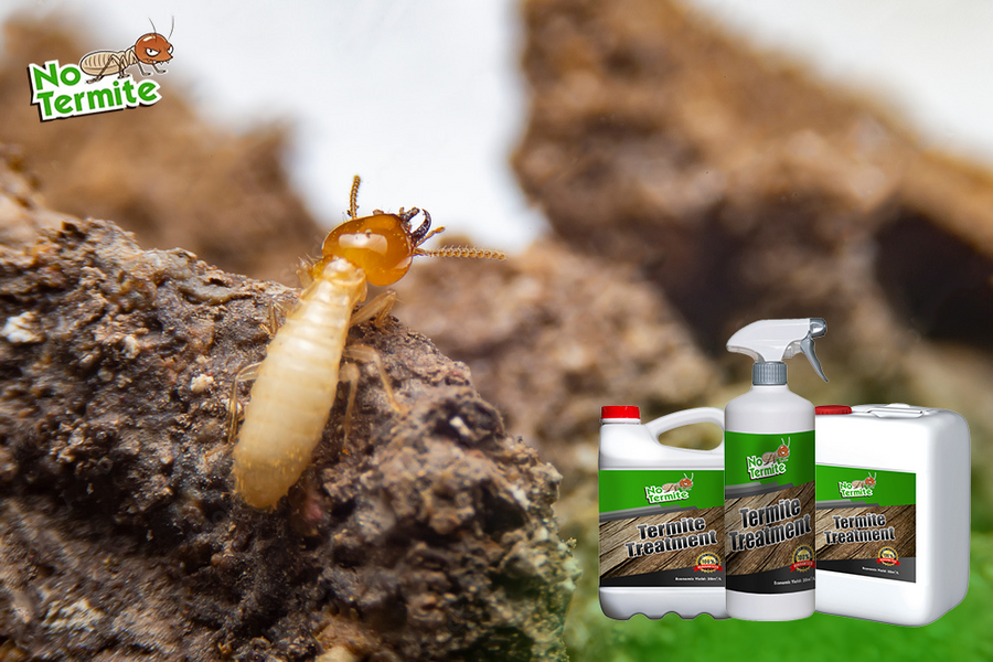 Are you wondering about the fight against termites?