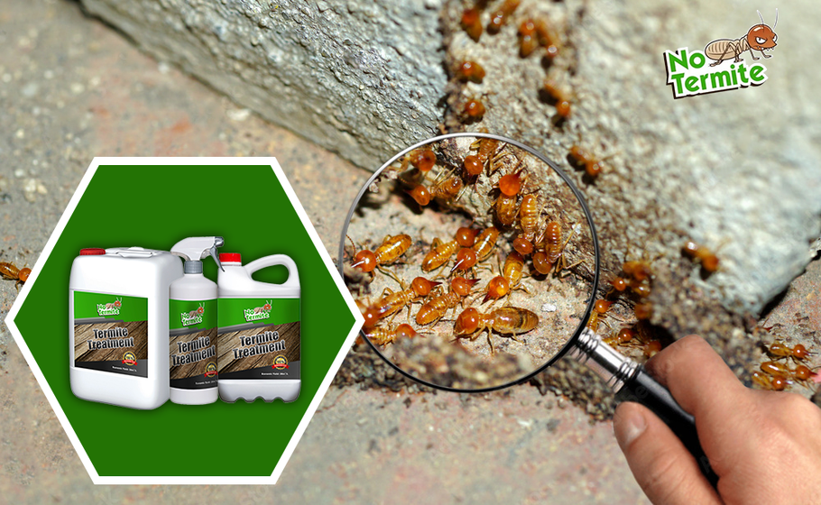 Is termite repellent effective?